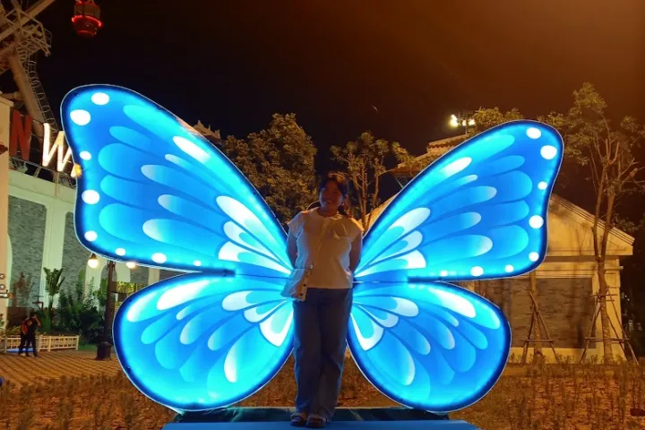 Danang City > Downtown > Butterfly Photo Danang City | Downtown | Butterfly Photo