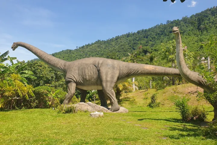 Danang City | Jura Park | Big Animals On Land