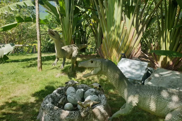 Danang City | Jura Park | Dinosaur Eggs Under Trees