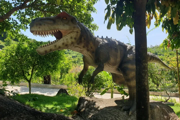 Danang City | Jura Park | Photo With Animals