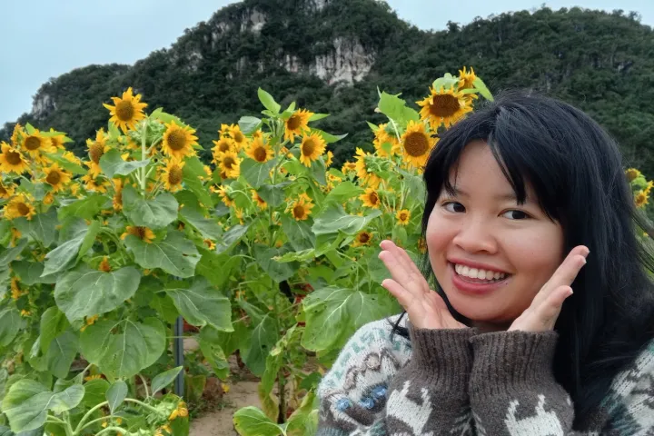 Marble Mountains | Marble Mountains Park | Sunflowers And Water Mountain