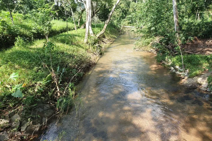 Small River Connects | My Son Sanctuary: Ancient Cham Temples of Vietnam Small River Connects | My Son Sanctuary: Ancient Cham Temples of Vietnam
