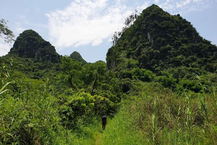 Northern Vietnam | Chua Thanh Son | Chua Thanh Son Trekking