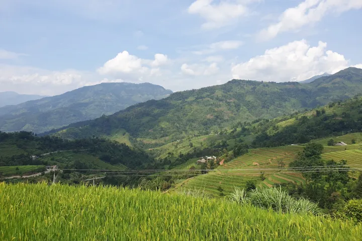 Rice Field On Loop | Ha Giang Loop: Vietnam’s Epic Motorbike Adventure Rice Field On Loop | Ha Giang Loop: Vietnam’s Epic Motorbike Adventure
