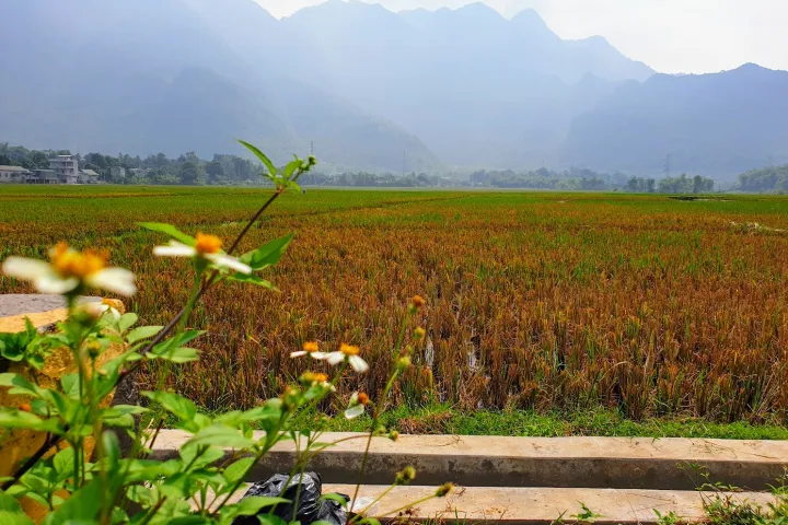  Mai Chau Vietnam