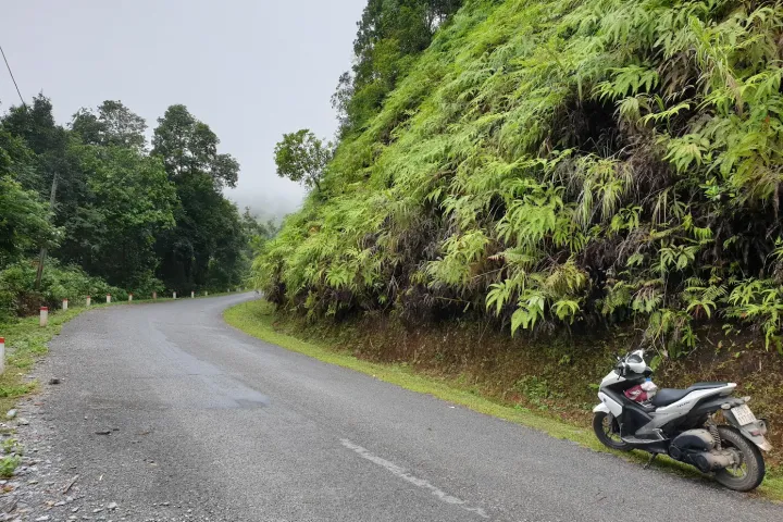 Mai Chau > Pu Luong > Scooters Go To Mountains Mai Chau | Pu Luong | Scooters Go To Mountains