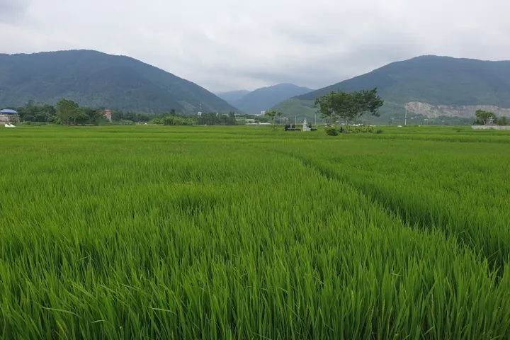 Northern Vietnam > Tam Dao > Tam Dao Climbing Start Northern Vietnam | Tam Dao | Tam Dao Climbing Start