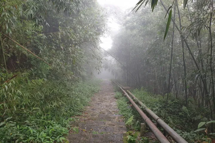 Northern Vietnam > Tam Dao > Tam Dao Trekking Northern Vietnam | Tam Dao | Tam Dao Trekking